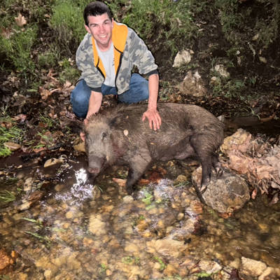 Public Land Hunt Wild Pig 2 - Ead8ecb6 620d 4488 9f18 Ffdb32a953be Thumbnail