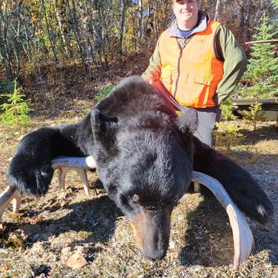 Spring Bear with Fishing