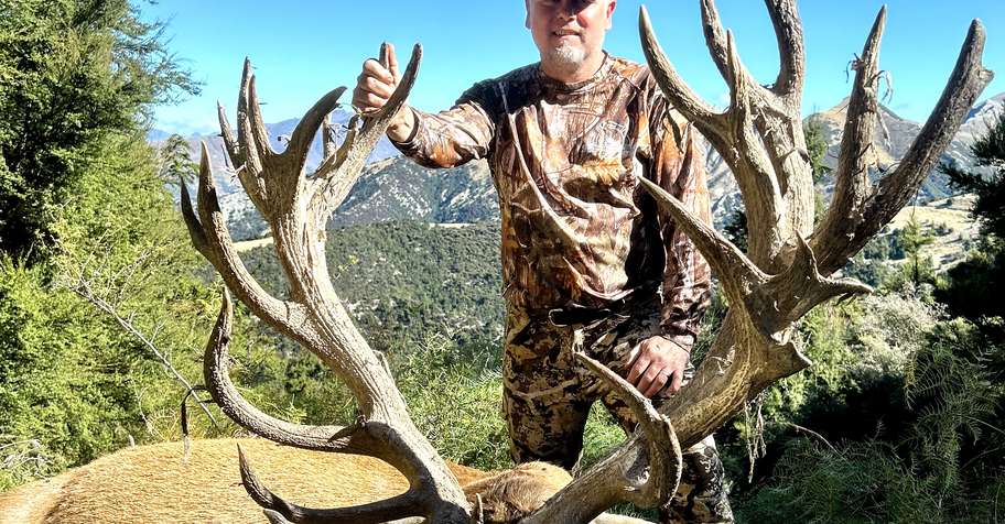 Upto 450 stag, 1x Bull Tahr, 1 xChamois