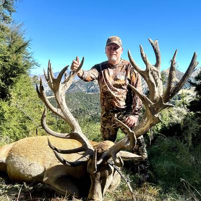 Upto 450 stag, 1x Bull Tahr, 1 xChamois