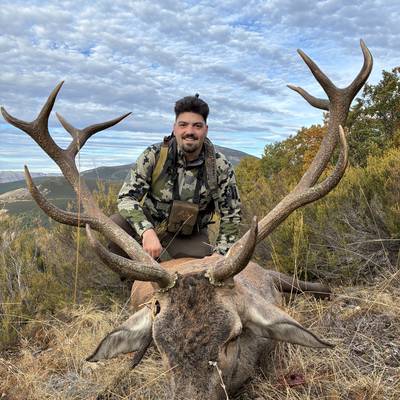 Iberian Red Deer hunt