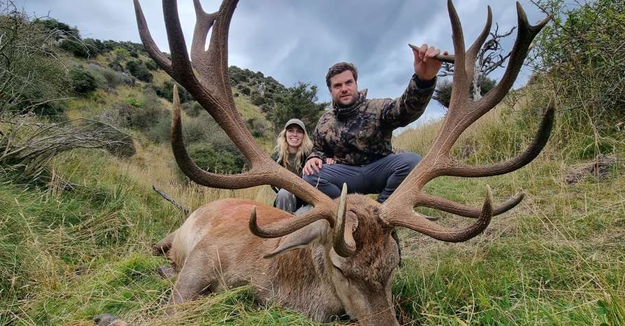 Tahr and Red Stag 370-400