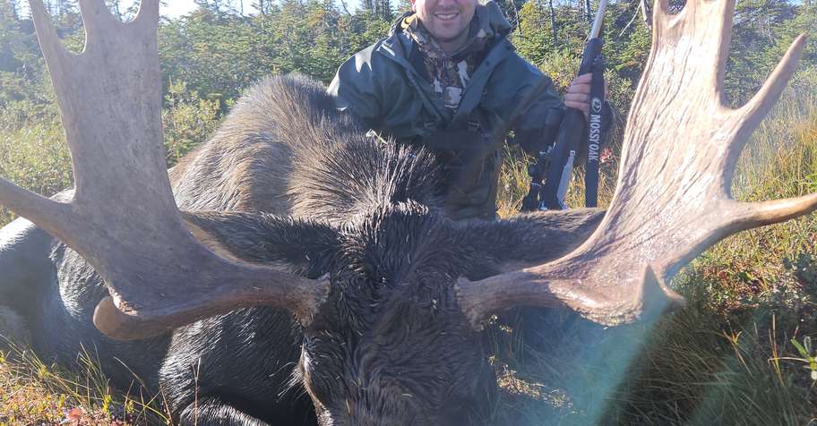 Newfoundland Moose Hunt 2027
