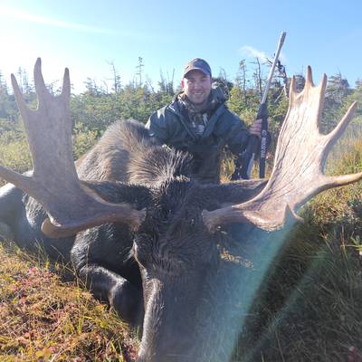Newfoundland Moose Hunt 2027