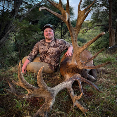 Multi Day, 350-399" SCI Red Stag Hunt