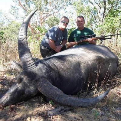 Buffalo/Banteng 2x1 PRE-SHOW SPECIAL