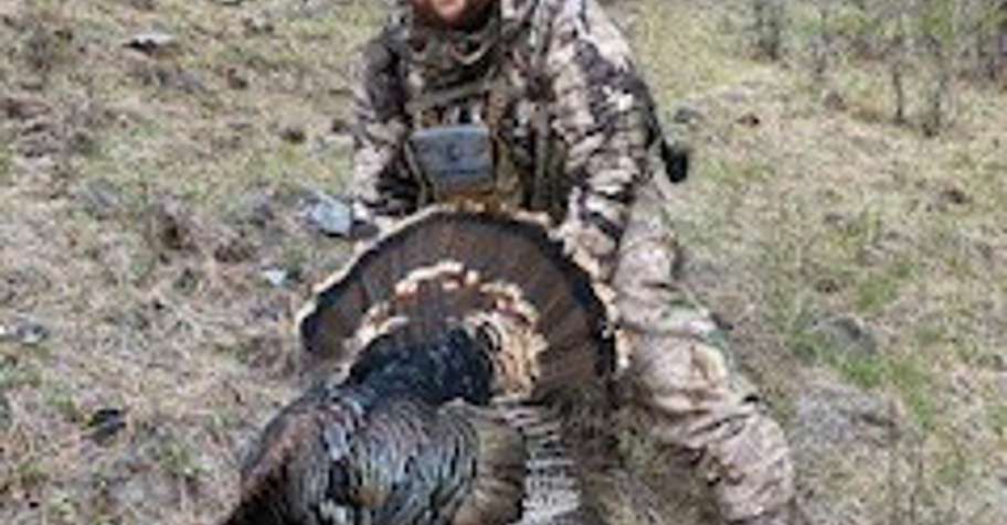 Spring Turkey Hunting Eastern Oregon '26