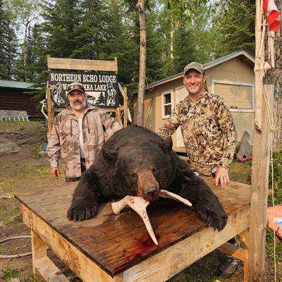 Bear/fishing combo 2026