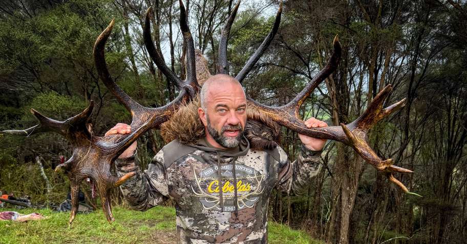 1x Day 350-399" Red Stag 2026
