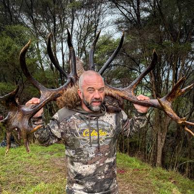 1x Day 350-399" Red Stag 2026