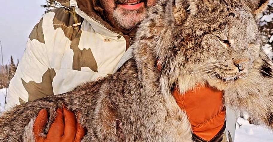 2027 Guided Lynx Hunts 1:1
