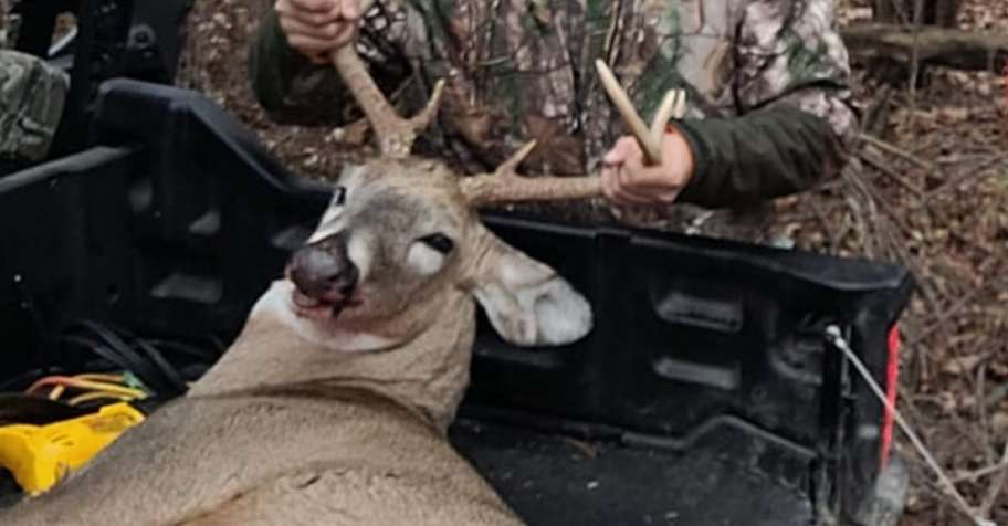 5-Day Semi-Guided Whitetail Hunt