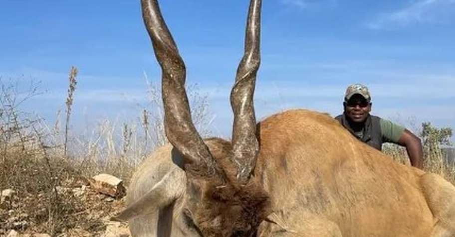 Package 4 (Southern Spiral) 2x1