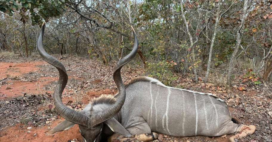 10 Day South Africa Plains Game Package
