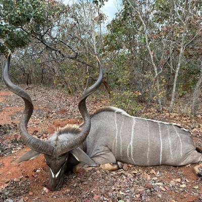 10 Day South Africa Plains Game Package