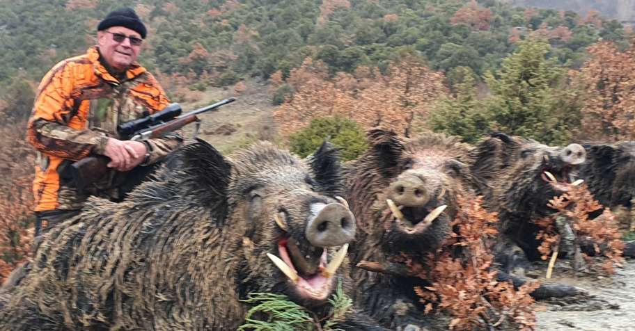 Wild Boar Driven Hunt (Black Sea)