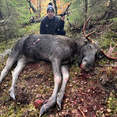 MOOSE HUNTING WEEK 44
