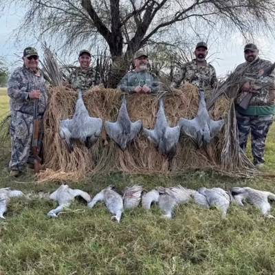 Sandhill Crane Hunts