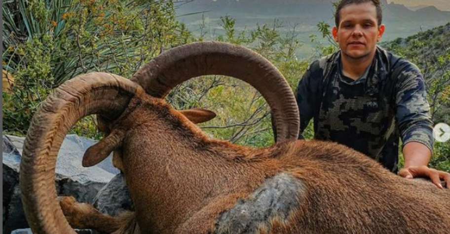 AOUDAD FREE RANGE HUNT