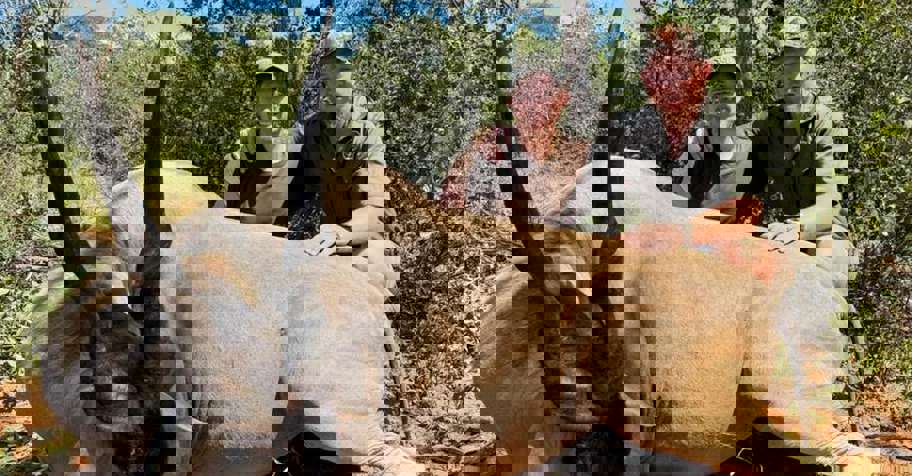 2027 Namibian Hunting Safari