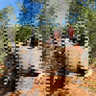 2027 Namibian Hunting Safari