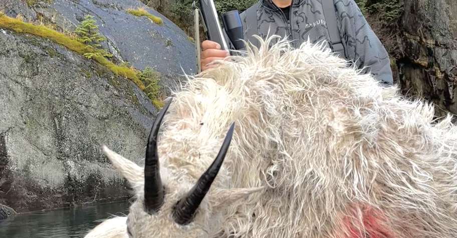 Boat Based Mountain Goat Hunt