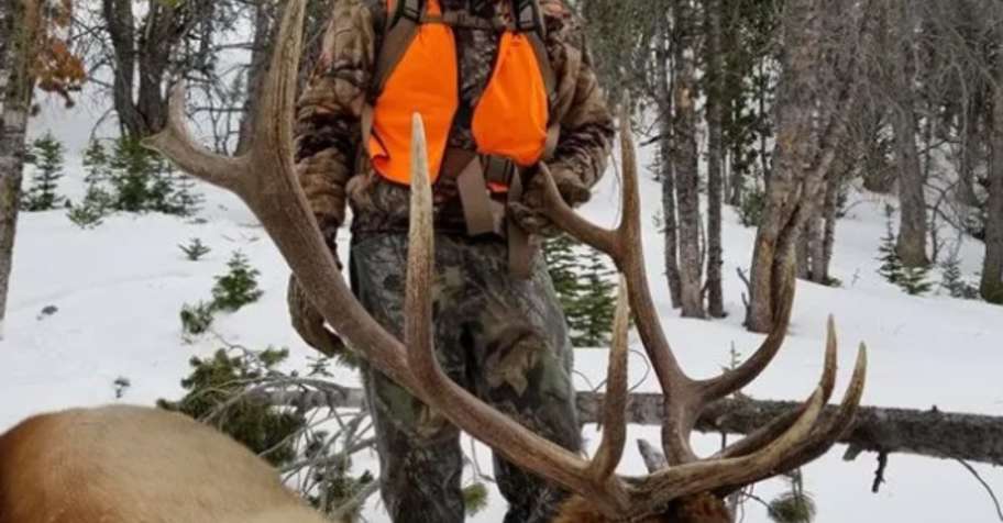 2v1 Guided Archery Elk Hunt
