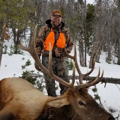 2v1 Guided Archery Elk Hunt
