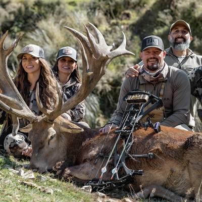 New Zealand Red Stag 370-400 SCI