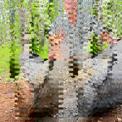 Management Buff Bull Special