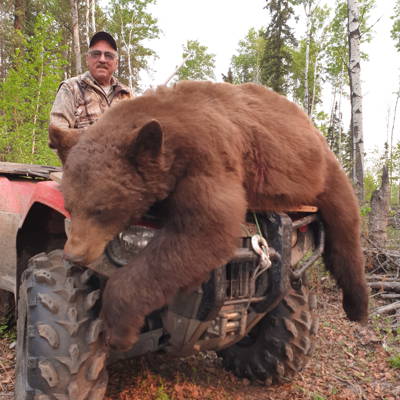 7-footer Black Bear Hunt for 4 '26