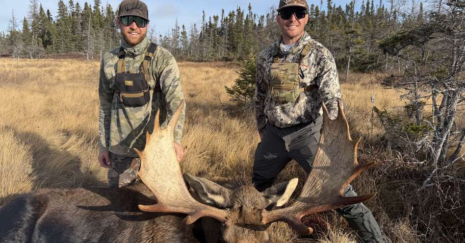 Moose Hunt Newfoundland