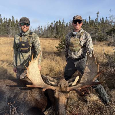 Moose Hunt Newfoundland