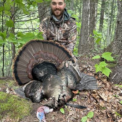 CT spring turkey 2026