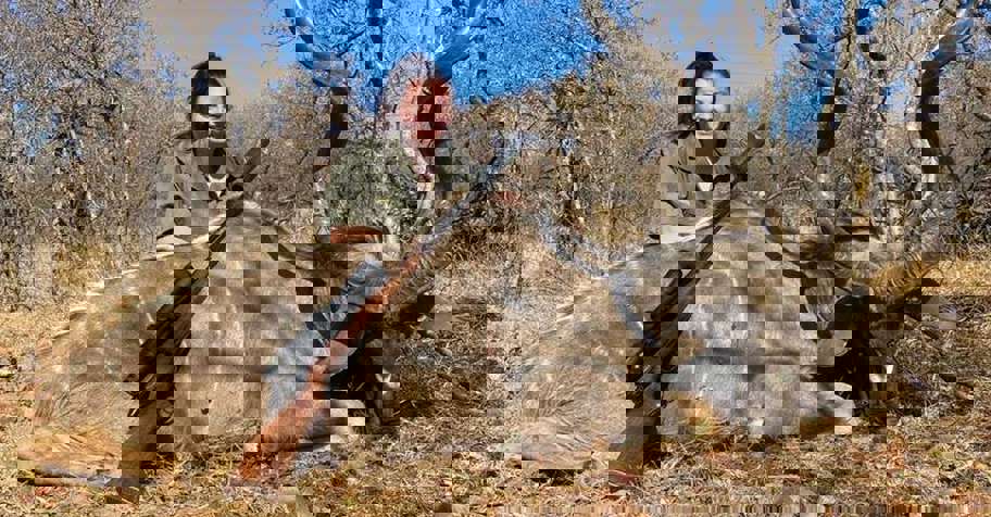 Iconic African Package (2x1)