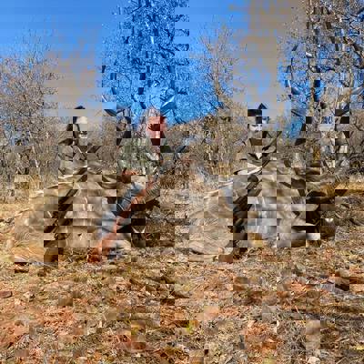 Iconic African Package (2x1)