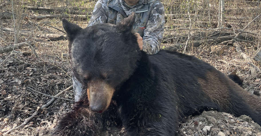 Spring Black Bear Group Rate '26