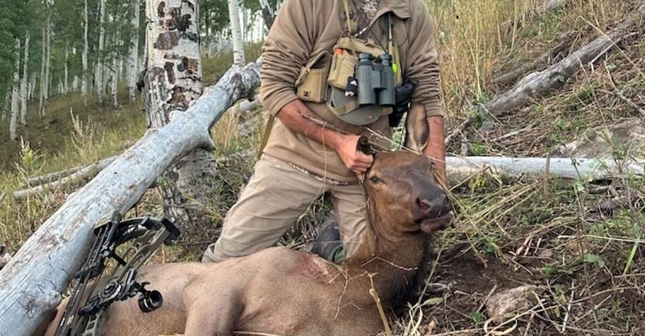 OTC Archery Cow Elk Hunt 3 Days '26