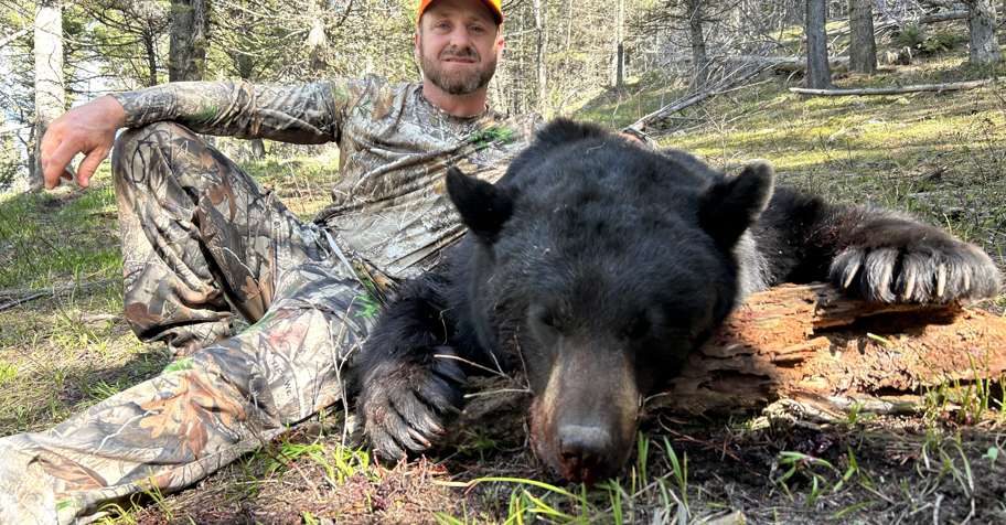 5 Day Trophy Bear Hunt 2x1