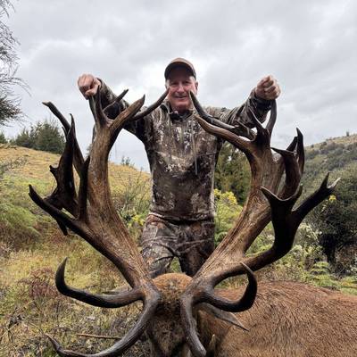 Redstag 550-600”
