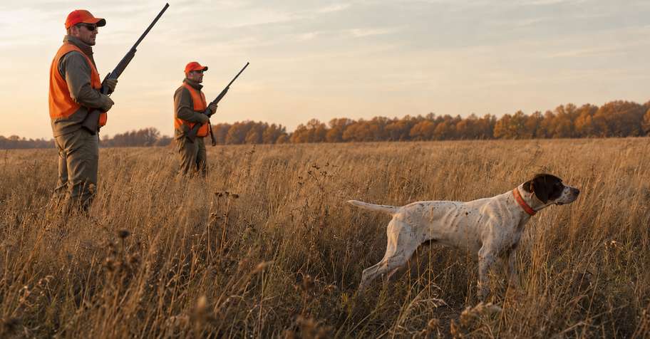 Unguided 40 Bird Field Hunt