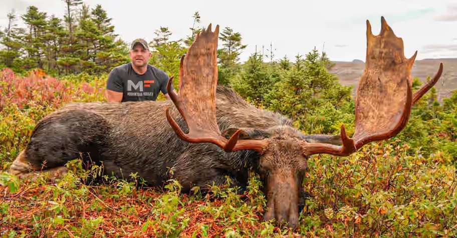 Moose Hunt Package #2 2028