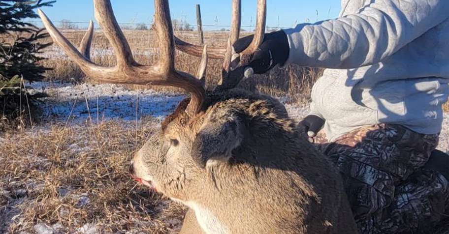 8 Day Rifle Whitetail/Mule Deer '27