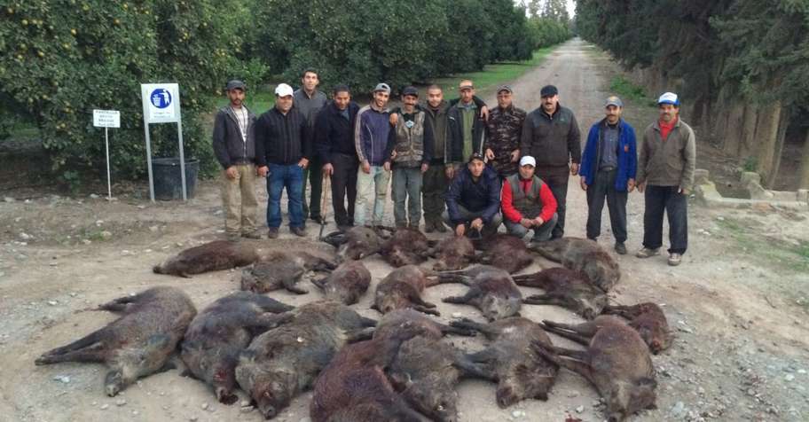 3 Days Wild Boar Package