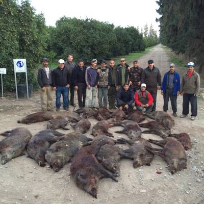 3 Days Wild Boar Package