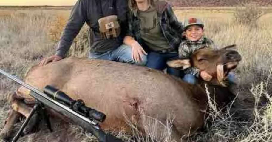 4 Day Guide Cow Elk OTC Tag Lic NOT Inc