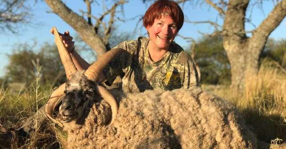 Goat & Sheep Package