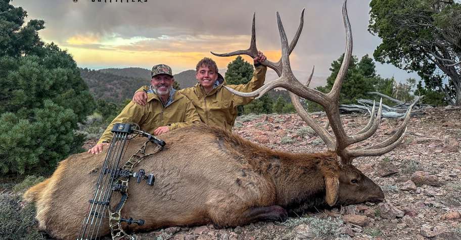 Utah Limited-Entry Bull Elk (*Draw Req.)