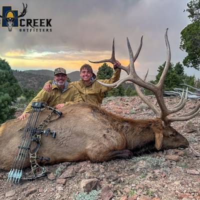 Utah Limited-Entry Bull Elk (*Draw Req.)