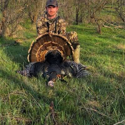 Texas Rio Grande Turkey Hunt
